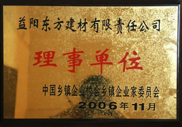 益阳东方建材有限责任公司理事单位